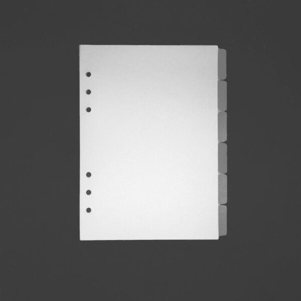 Frosted Planner Dividers