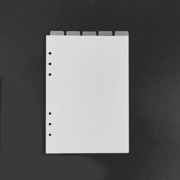 FROSTED PLANNER DIVIDERS (2)