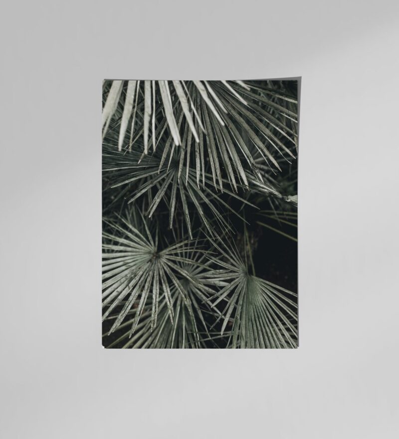 Palm Leaves Planner Dashboard