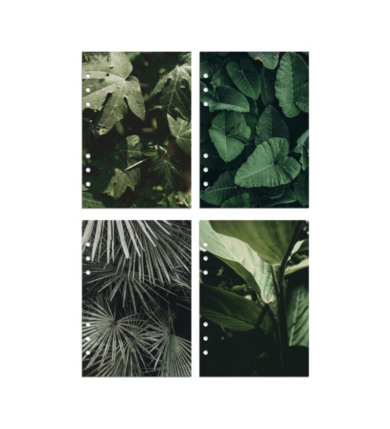 Tropical Leaves Dashboards