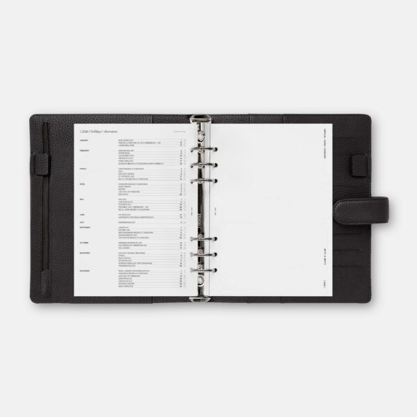 2026 Yearly Overview Planner 3