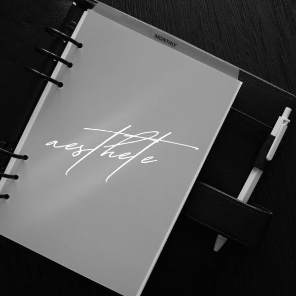 Clear Gloss Plastic Planner Dashboard 2