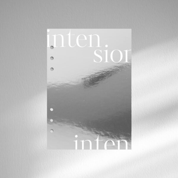 Holographic Reflective Planner Dashboard 14